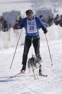 Lenk 2013